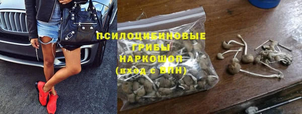 дурь Нягань