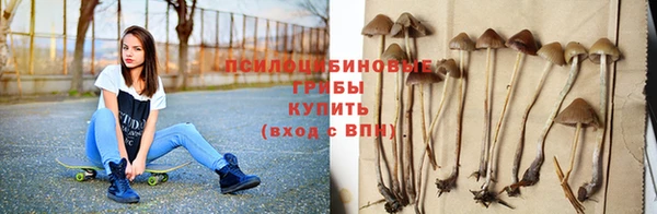 мяу мяу мука Нязепетровск