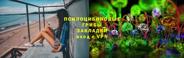 spice Няндома