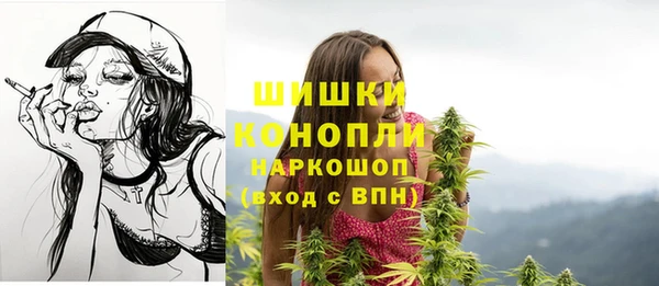 винт Билибино